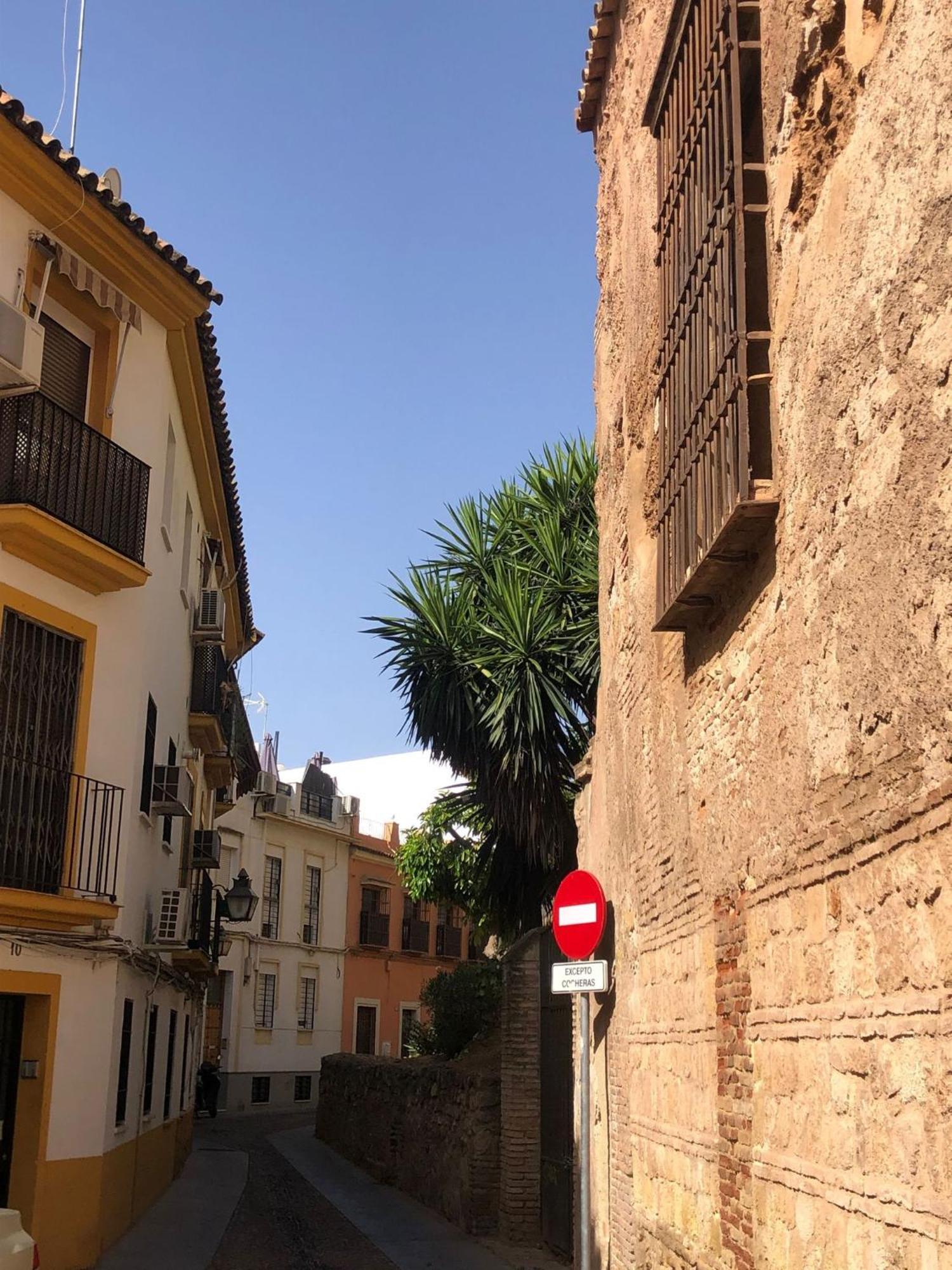 Apto Familiar Balcones A La Muralla Córdoba Exteriör bild